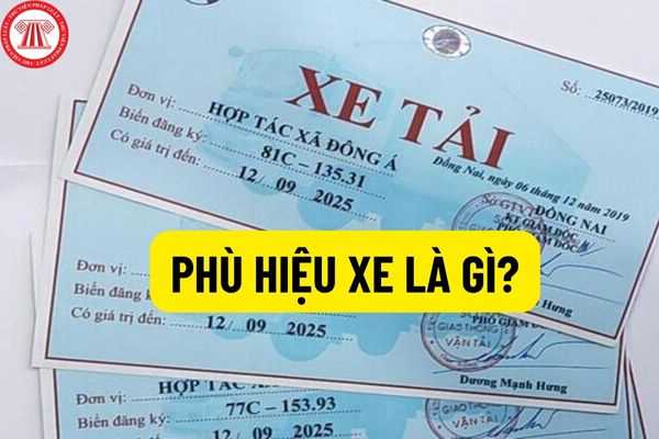 Phù hiệu xe kinh doanh vận tải là gì? Những quy định chủ xe cần biết năm 2026